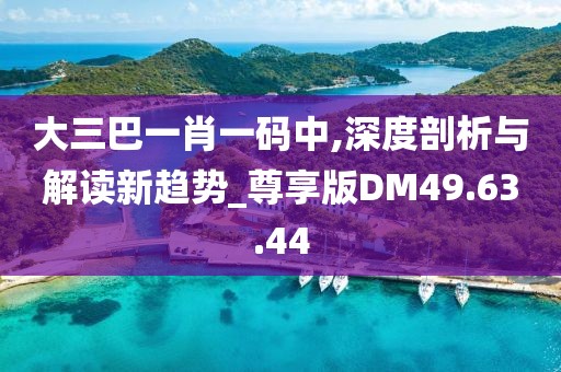 大三巴一肖一码中,深度剖析与解读新趋势_尊享版DM49.63.44