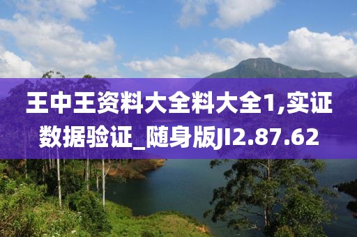 王中王资料大全料大全1,实证数据验证_随身版JI2.87.62