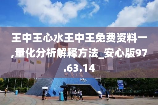 王中王心水王中王免费资料一,量化分析解释方法_安心版97.63.14