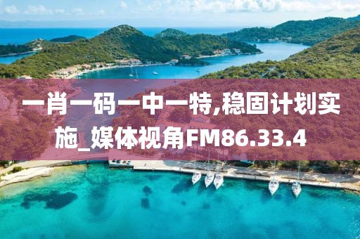 一肖一码一中一特,稳固计划实施_媒体视角FM86.33.4