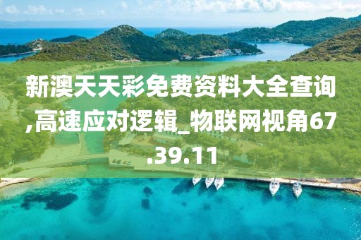 新澳天天彩免费资料大全查询,高速应对逻辑_物联网视角67.39.11