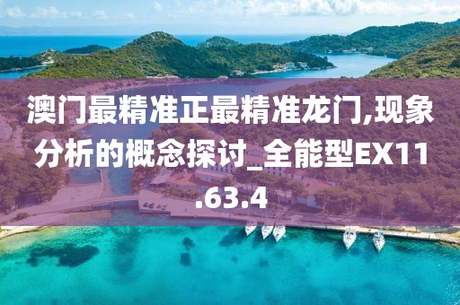 澳门最精准正最精准龙门,现象分析的概念探讨_全能型EX11.63.4