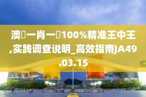澳門一肖一碼100%精准王中王,实践调查说明_高效指南JA49.03.15