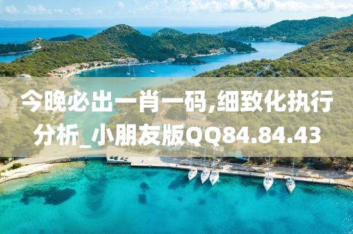 今晚必出一肖一码,细致化执行分析_小朋友版QQ84.84.43