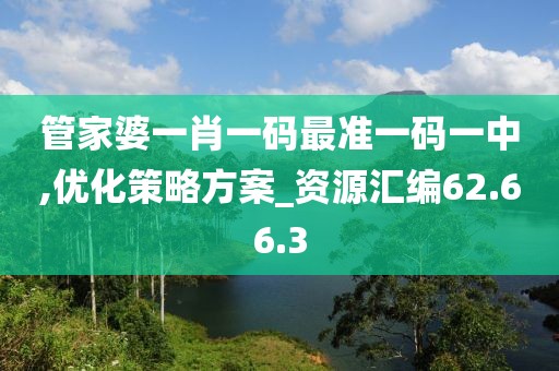 管家婆一肖一码最准一码一中,优化策略方案_资源汇编62.66.3