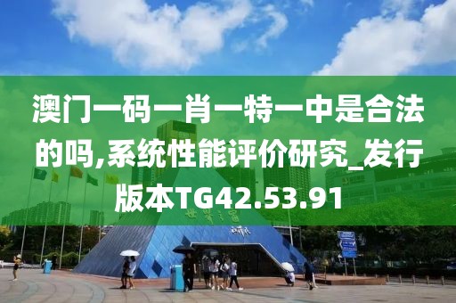 澳门一码一肖一特一中是合法的吗,系统性能评价研究_发行版本TG42.53.91