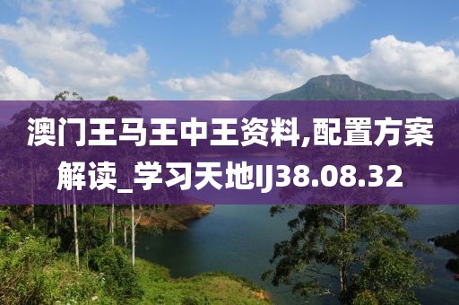 澳门王马王中王资料,配置方案解读_学习天地IJ38.08.32