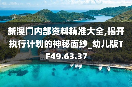 新澳门内部资料精准大全,揭开执行计划的神秘面纱_幼儿版TF49.63.37