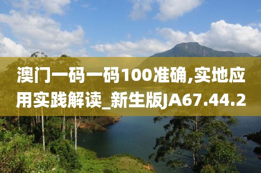 澳门一码一码100准确,实地应用实践解读_新生版JA67.44.20