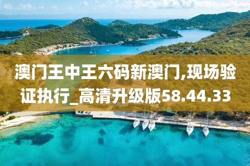 澳门王中王六码新澳门,现场验证执行_高清升级版58.44.33