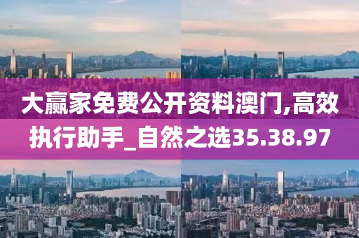 大赢家免费公开资料澳门,高效执行助手_自然之选35.38.97