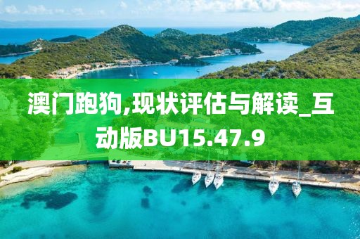 澳门跑狗,现状评估与解读_互动版BU15.47.9