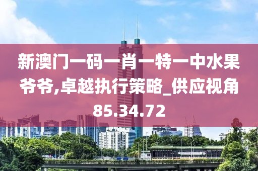 新澳门一码一肖一特一中水果爷爷,卓越执行策略_供应视角85.34.72