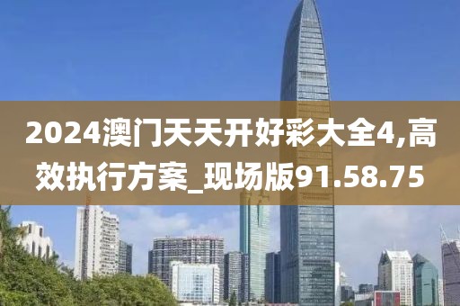 2024澳门天天开好彩大全4,高效执行方案_现场版91.58.75