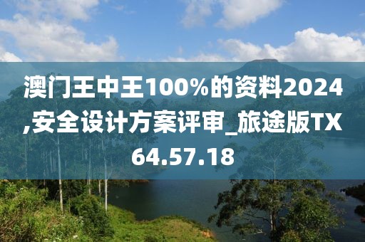 澳门王中王100%的资料2024,安全设计方案评审_旅途版TX64.57.18