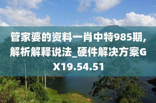 管家婆的资料一肖中特985期,解析解释说法_硬件解决方案GX19.54.51