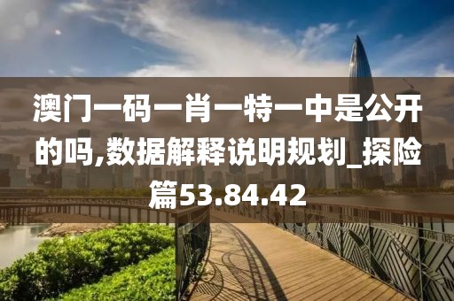 澳门一码一肖一特一中是公开的吗,数据解释说明规划_探险篇53.84.42