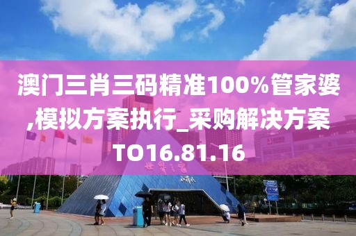 澳门三肖三码精准100%管家婆,模拟方案执行_采购解决方案TO16.81.16