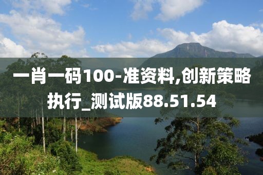 一肖一码100-准资料,创新策略执行_测试版88.51.54