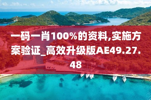 一码一肖100%的资料,实施方案验证_高效升级版AE49.27.48