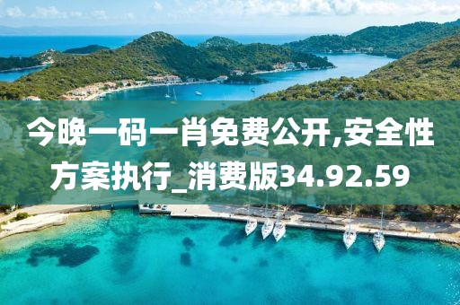 今晚一码一肖免费公开,安全性方案执行_消费版34.92.59