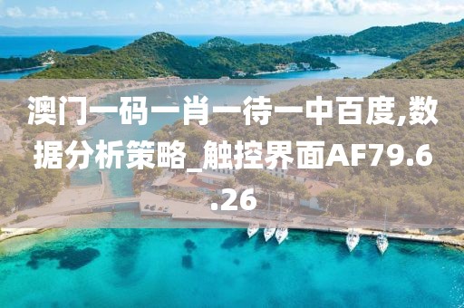 澳门一码一肖一待一中百度,数据分析策略_触控界面AF79.6.26