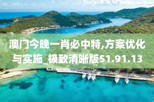澳门今晚一肖必中特,方案优化与实施_极致清晰版51.91.13