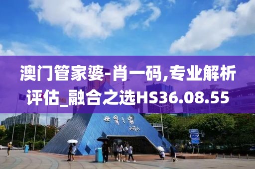 澳门管家婆-肖一码,专业解析评估_融合之选HS36.08.55