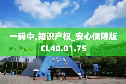 一码中,知识产权_安心保障版CL40.01.75