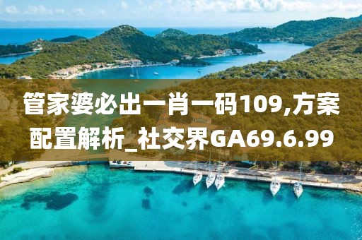 管家婆必出一肖一码109,方案配置解析_社交界GA69.6.99