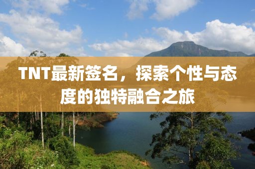 TNT最新签名，探索个性与态度的独特融合之旅