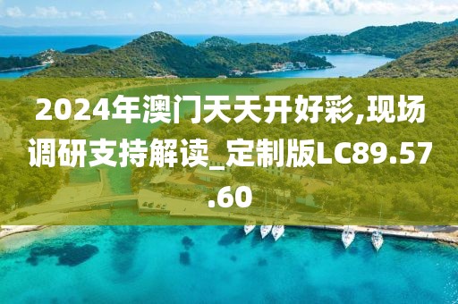 2024年澳门天天开好彩,现场调研支持解读_定制版LC89.57.60