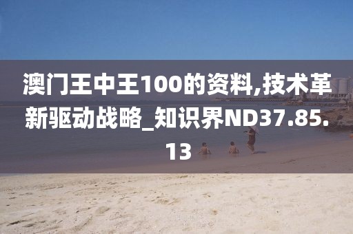 澳门王中王100的资料,技术革新驱动战略_知识界ND37.85.13