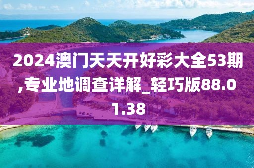 2024澳门天天开好彩大全53期,专业地调查详解_轻巧版88.01.38