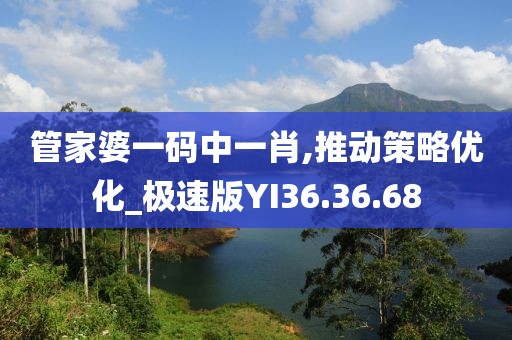 管家婆一码中一肖,推动策略优化_极速版YI36.36.68