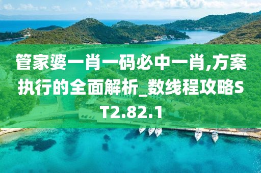 管家婆一肖一码必中一肖,方案执行的全面解析_数线程攻略ST2.82.1