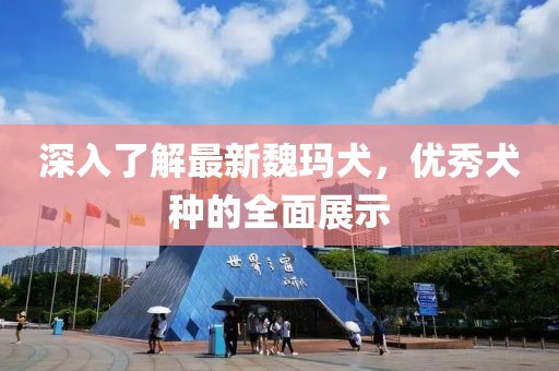 深入了解最新魏玛犬，优秀犬种的全面展示
