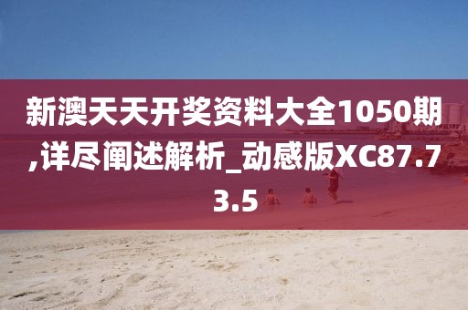 新澳天天开奖资料大全1050期,详尽阐述解析_动感版XC87.73.5
