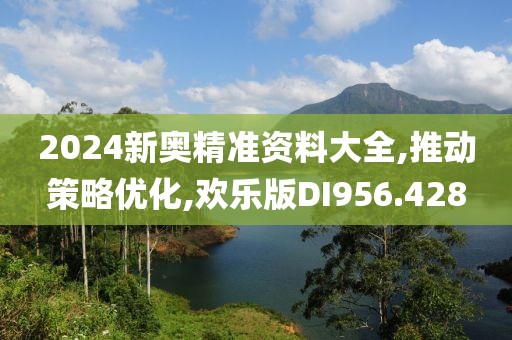 2024新奥精准资料大全,推动策略优化,欢乐版DI956.428