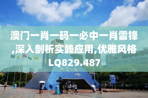 澳门一肖一码一必中一肖雷锋,深入剖析实践应用,优雅风格LQ829.487