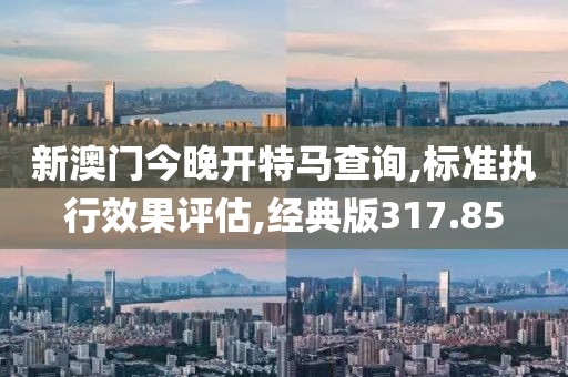 新澳门今晚开特马查询,标准执行效果评估,经典版317.85