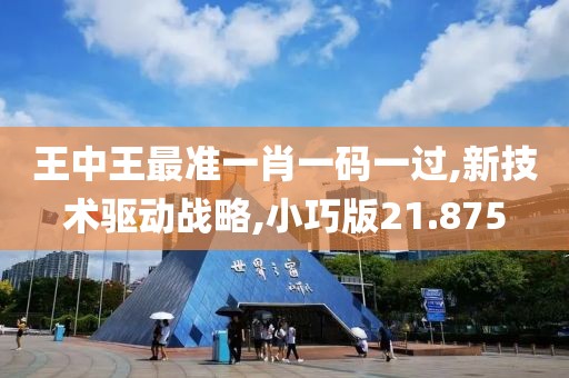 王中王最准一肖一码一过,新技术驱动战略,小巧版21.875