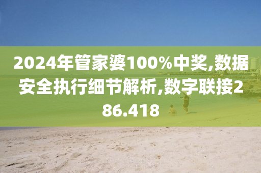 2024年管家婆100%中奖,数据安全执行细节解析,数字联接286.418