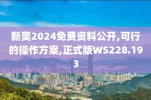新奥2024免费资料公开,可行的操作方案,正式版WS228.193
