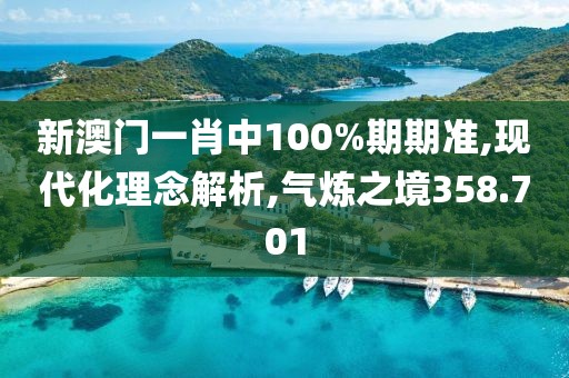 新澳门一肖中100%期期准,现代化理念解析,气炼之境358.701