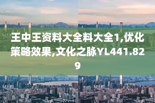 王中王资料大全料大全1,优化策略效果,文化之脉YL441.829