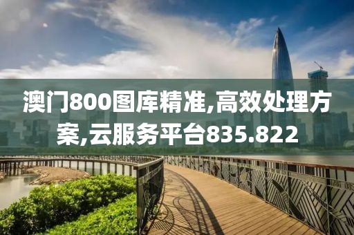 澳门800图库精准,高效处理方案,云服务平台835.822