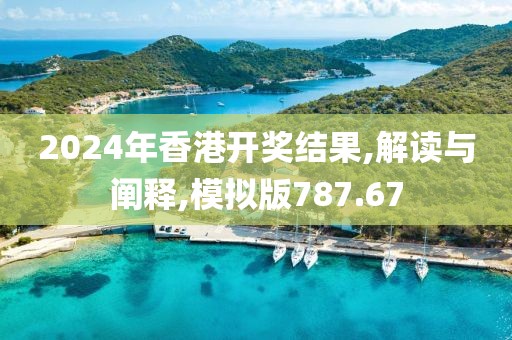 2024年香港开奖结果,解读与阐释,模拟版787.67