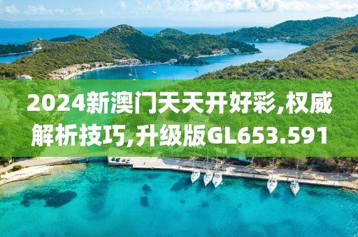 2024新澳门天天开好彩,权威解析技巧,升级版GL653.591