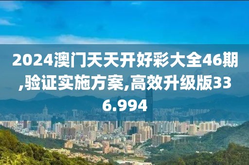 2024澳门天天开好彩大全46期,验证实施方案,高效升级版336.994